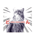 KOJIRO2020（個別スタンプ：5）