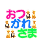プードルのぽんちゃんスタンプ（個別スタンプ：8）
