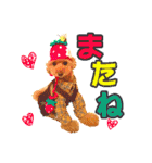 プードルのぽんちゃんスタンプ（個別スタンプ：23）
