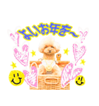 プードルのぽんちゃんスタンプ（個別スタンプ：27）