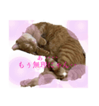 碁打ちの為の囲碁猫スタンプ（個別スタンプ：4）