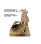 碁打ちの為の囲碁猫スタンプ（個別スタンプ：6）