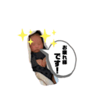 ICHIKA＆RINTARO（個別スタンプ：14）