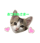 momochan3（個別スタンプ：2）