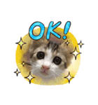 momochan3（個別スタンプ：4）