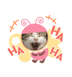 momochan3（個別スタンプ：5）