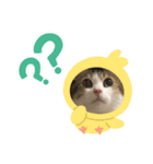 momochan3（個別スタンプ：6）