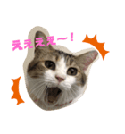 momochan3（個別スタンプ：7）