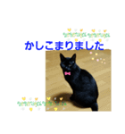 優しさニャンコ（個別スタンプ：3）