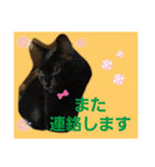 優しさニャンコ（個別スタンプ：7）