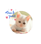 Co Coの成長（個別スタンプ：1）