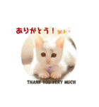 Co Coの成長（個別スタンプ：2）
