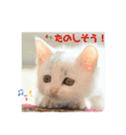 Co Coの成長（個別スタンプ：5）