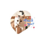Co Coの成長（個別スタンプ：17）