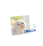 Co Coの成長（個別スタンプ：20）