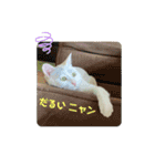 Co Coの成長（個別スタンプ：22）