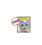 Co Coの成長（個別スタンプ：26）
