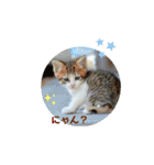 Co Coの成長（個別スタンプ：32）