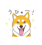 柴犬と日常おしゃべり（個別スタンプ：5）