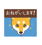 柴犬と日常おしゃべり（個別スタンプ：11）