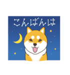 柴犬と日常おしゃべり（個別スタンプ：31）