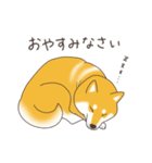 柴犬と日常おしゃべり（個別スタンプ：32）