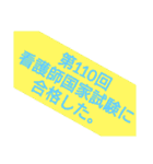 第110回 看護師国家試験に合格した（個別スタンプ：1）