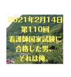 第110回 看護師国家試験に合格した（個別スタンプ：15）