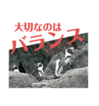 第110回 看護師国家試験に合格した（個別スタンプ：26）