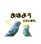 S家のアニマルず1（個別スタンプ：11）