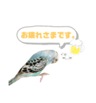 S家のアニマルず1（個別スタンプ：17）