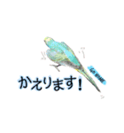 S家のアニマルず1（個別スタンプ：22）