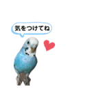 S家のアニマルず1（個別スタンプ：23）