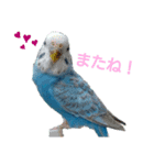 ことりさんの可愛い1日。〜第2弾！！〜（個別スタンプ：4）
