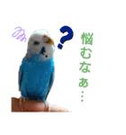ことりさんの可愛い1日。〜第2弾！！〜（個別スタンプ：5）