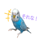 ことりさんの可愛い1日。〜第2弾！！〜（個別スタンプ：6）