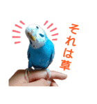 ことりさんの可愛い1日。〜第2弾！！〜（個別スタンプ：8）