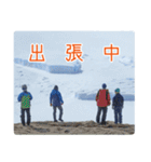 観測隊員と南極の仲間たち for Business（個別スタンプ：31）