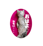 まんちかんの芽々吉くん（個別スタンプ：5）