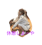 林くんです 2（個別スタンプ：9）