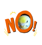 utinoinkonontizyou（個別スタンプ：3）