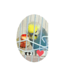 utinoinkonontizyou（個別スタンプ：5）