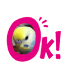 utinoinkonontizyou（個別スタンプ：6）