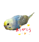 utinoinkonontizyou（個別スタンプ：7）