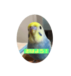 utinoinkonontizyou（個別スタンプ：8）