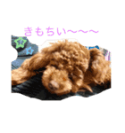 ワンチャンの1日（個別スタンプ：14）