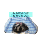 ももんがもも太（個別スタンプ：2）