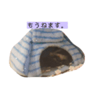 ももんがもも太（個別スタンプ：8）