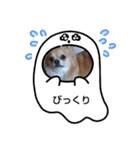 shotaくんパート2（個別スタンプ：2）