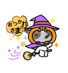 ぶち犬 ハロウィーン（個別スタンプ：5）